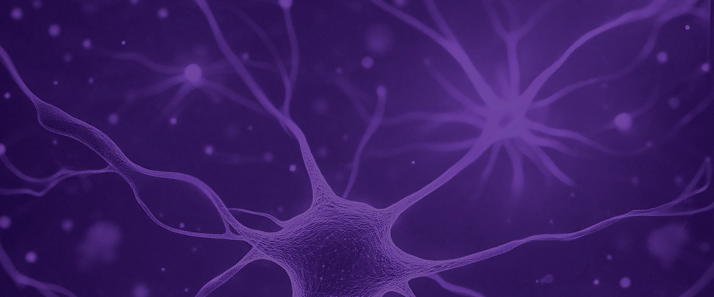 bg-desktop-2880w.png